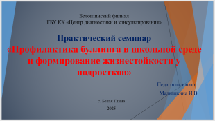 Практический семинар Белоглинского филиала.